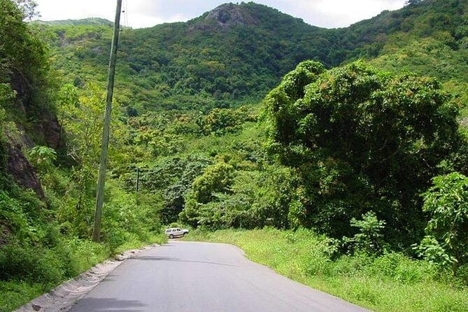 Half-Day Tour: A Taste of Paradise and History of Antigua - Tastings and Drinks: Pineapple, Mango, and Rum Punch