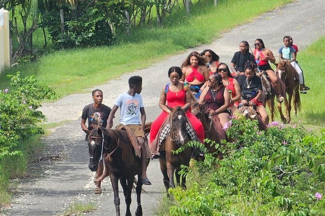 Horseback Riding at Hawksbill Beach in Five islands Antigua - Price and Value: Is $120 Worth It?