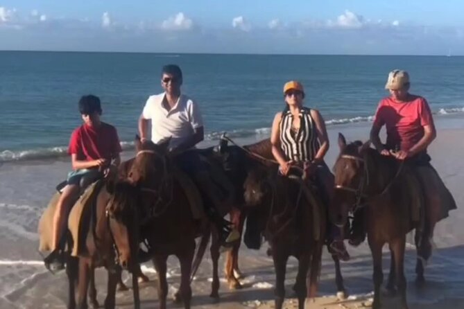Horseback Riding at Hawksbill Beach in Five islands Antigua - Getting There: Peggy Pond, Pickup Options, and Finding the Place