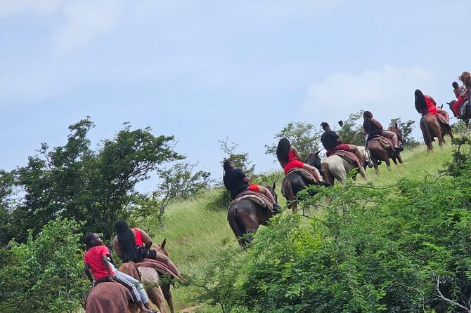 Horseback Riding at Hawksbill Beach in Five islands Antigua - Horses and Guides: Friendly Animals and Safety-Focused Instruction