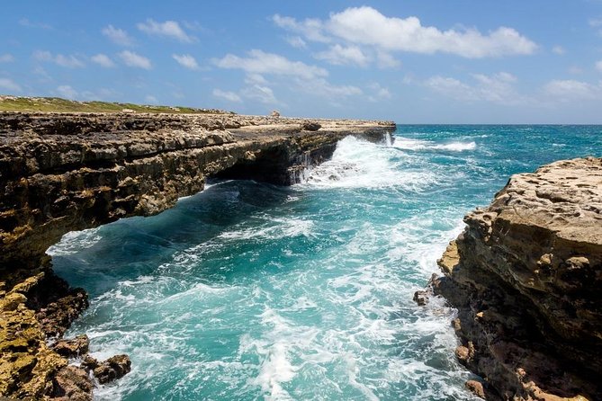 Island Safari 4x4 Discovery Tour from St John's - Price and value: is $185 a good deal?