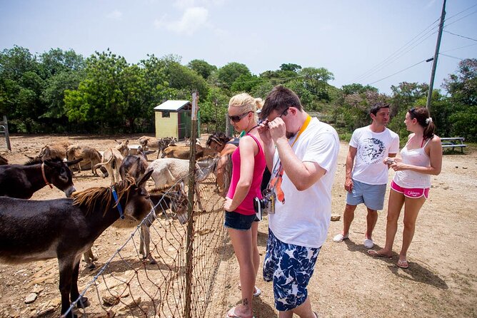 Island Safari Discovery - The Land Rover ride, bumpy roads, and what to do about it