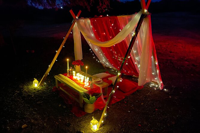Luxury Private Picnic with Caribbean Cuisine - Who should book this luxury picnic in Antigua
