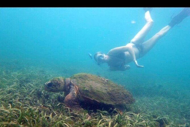 Private Snorkeling and Sightseeing Tour of Antigua - Private Antigua by car and sea, led by Johnny