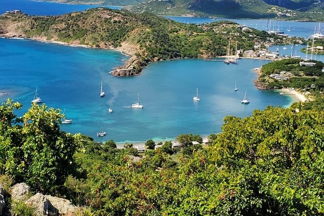 Private Snorkeling and Sightseeing Tour of Antigua - Turtle spotting odds, visibility, and what you should expect in the water
