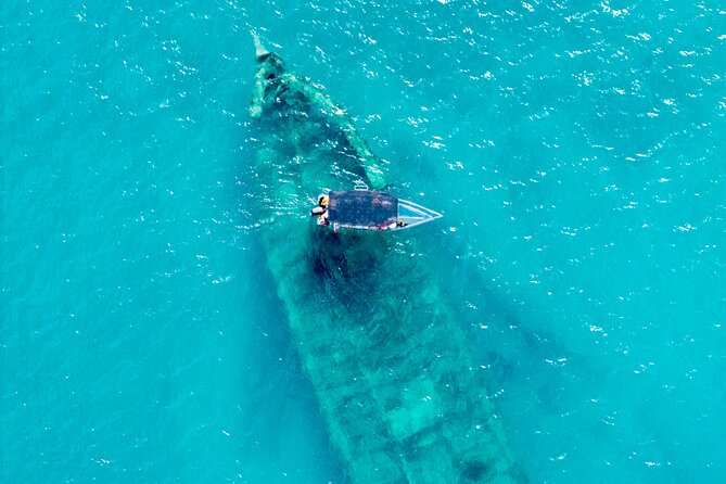 Reef Explorers Transparent Boat and Beach Tour - Quick hits you’ll care about
