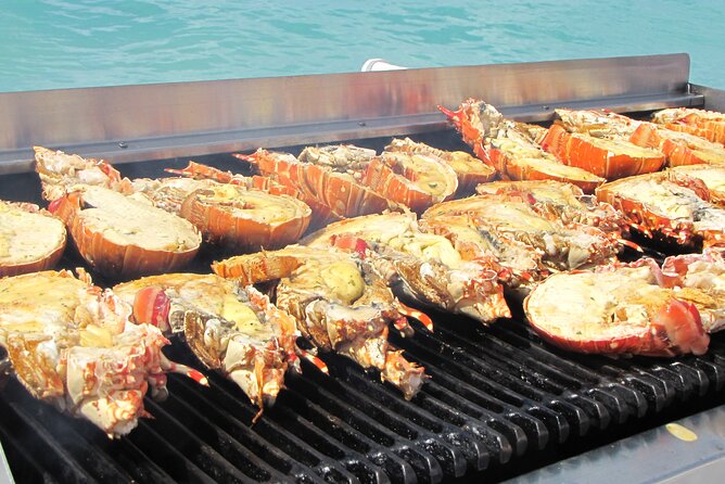 Sail and Snorkel at Cades Reef - Price and value: is $110 worth your time?