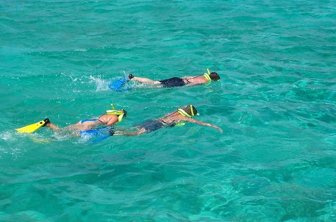 Sail and Snorkel at Cades Reef - Who this tour is best for
