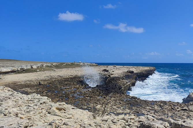 Scenic Full Day Tour of Antigua - Nelson’s Dockyard: a working dockyard stop that feels alive