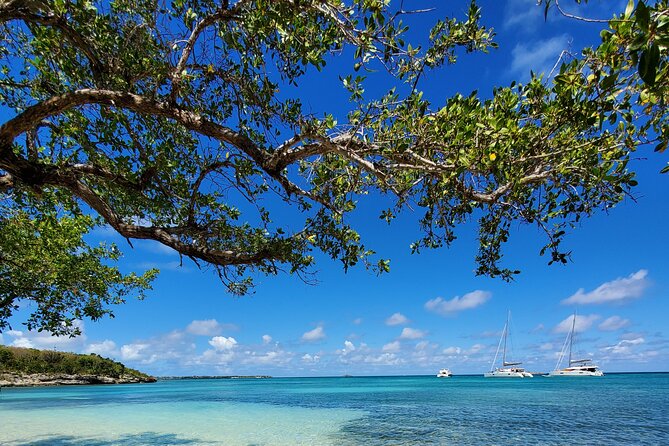 Snorkel - Lobster Lunch Cruise to Bird Island and Paradise Reef - Lobster season reality: plan B is built in