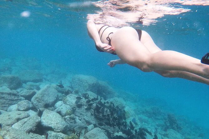 Snorkeling, Kayaking and Paddle Board Activity in Antigua - Key points to know before you go