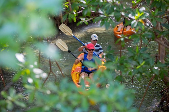 SoCoHo Eco Half Day - Mangrove Kayak & Reef Snorkeling - A private beach moment, snacks, and rum punch before the boat