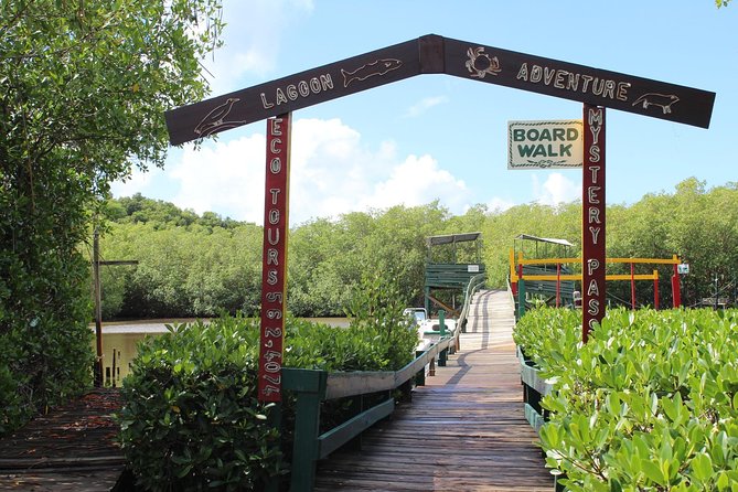 SoCoHo Eco Half Day - Mangrove Kayak & Reef Snorkeling - How the boat ride and short time window shape the experience