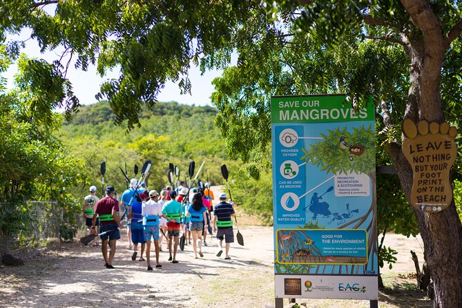 SoCoHo Eco Half Day - Mangrove Kayak & Reef Snorkeling - Guides and crews: what makes the difference on the water