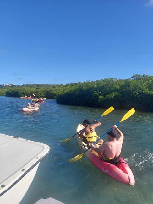 St. John's, Antigua Kayak, Snorkeling, & Beach Bird Island - Key highlights worth your attention