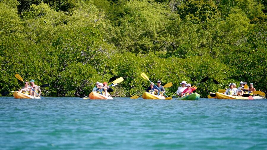 St. John's, Antigua Kayak, Snorkeling, & Beach Bird Island - The quick scenic intro in St John’s