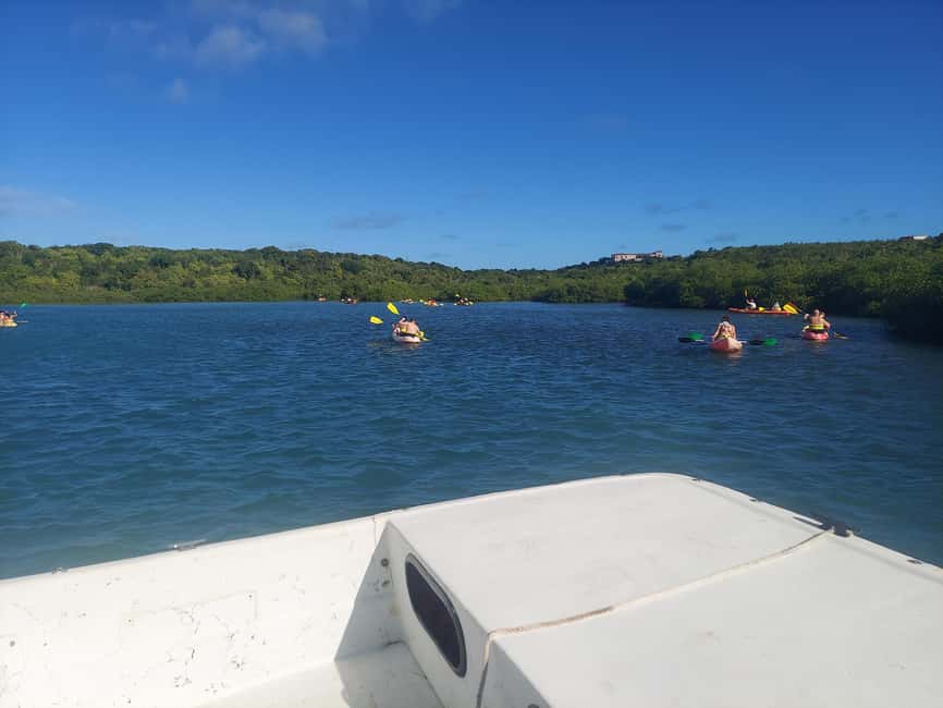 St. John's, Antigua Kayak, Snorkeling, & Beach Bird Island - Kayaking near Willikies: mangroves, calm channels, and real wildlife habitat