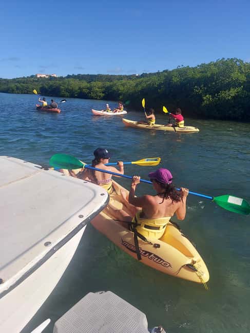 St. John's, Antigua Kayak, Snorkeling, & Beach Bird Island - Great Bird Island snorkeling: what clear water and reef life feel like