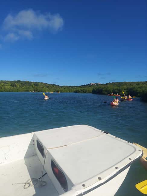 St. John's, Antigua Kayak, Snorkeling, & Beach Bird Island - Beach time on Bird Island: silk-like sand plus included drinks