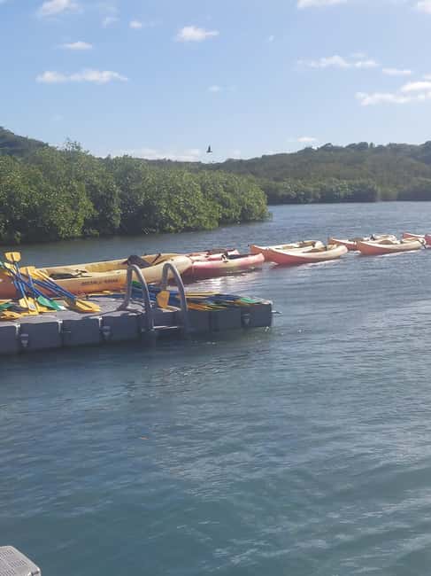 St. John's, Antigua Kayak, Snorkeling, & Beach Bird Island - What to bring and how to stay comfortable