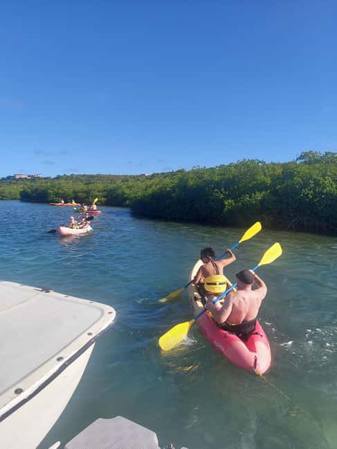 St. John's, Antigua Kayak, Snorkeling, & Beach Bird Island - Getting to the meet-up: St John’s pickup that actually works
