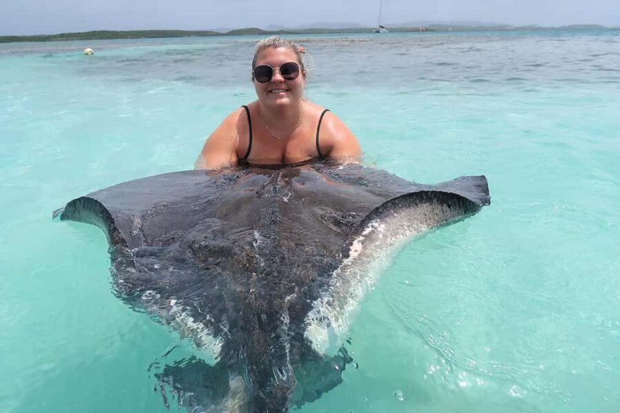 St. John's; Combo Laviscount Island & Swimming with Stingray - Key highlights before you go