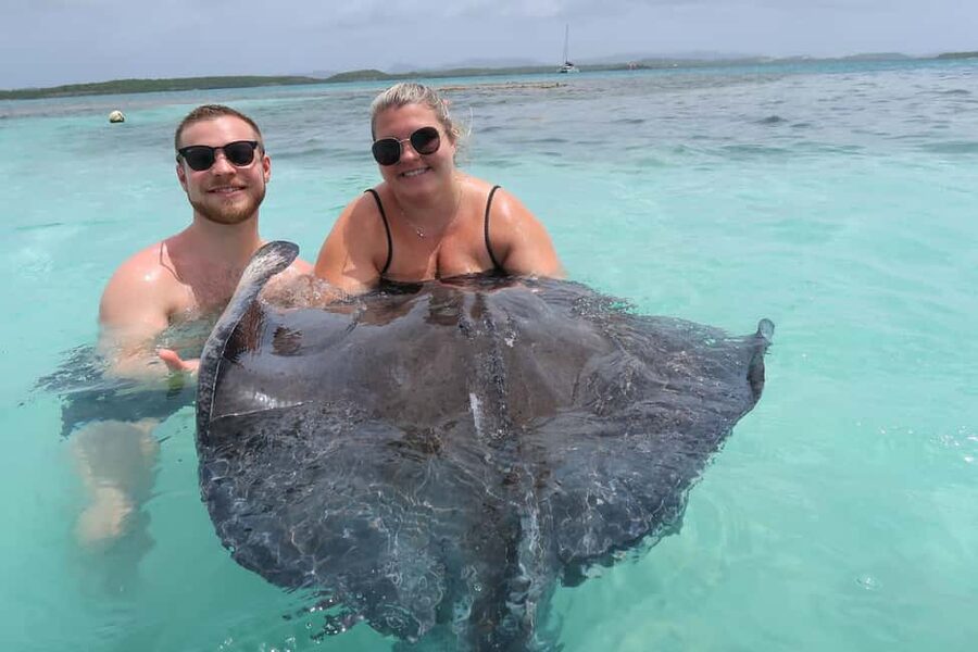 St. John's; Combo Laviscount Island & Swimming with Stingray - The drive in Antigua: a short culture lesson on wheels