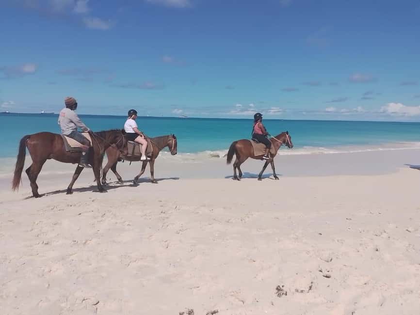 St. Johns: Horseback Riding Bareback Swim, &Fort James Beach - Key takeaways