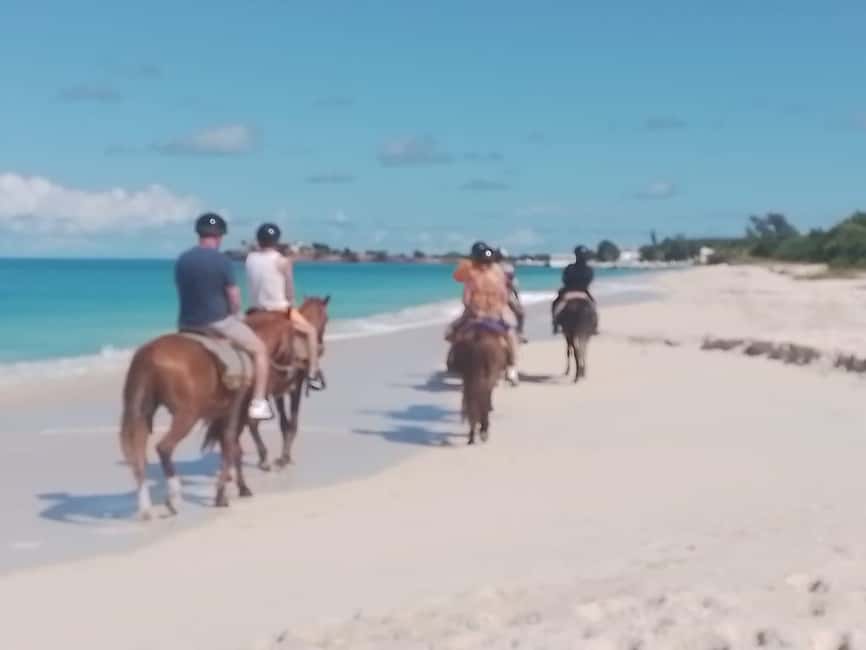 St. Johns: Horseback Riding Bareback Swim, &Fort James Beach - Scenic ride sections: Fort James, then Runaway Beach views