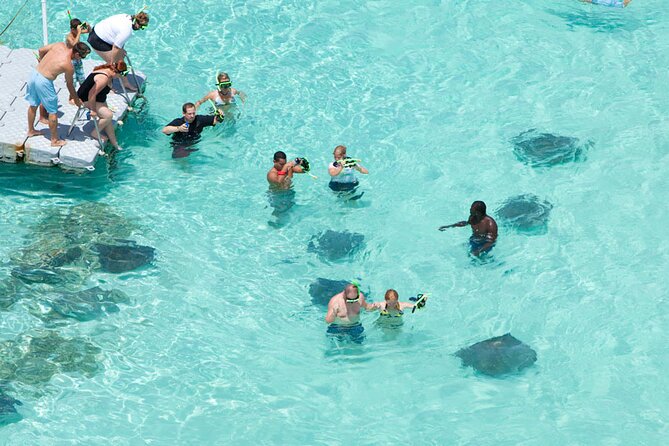 Stingray City - Key highlights to know before you go