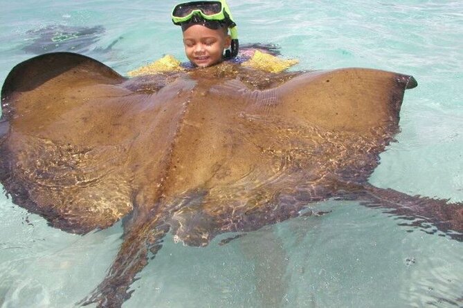 Stingray City - Stingray City Antigua feels special because you go into their habitat