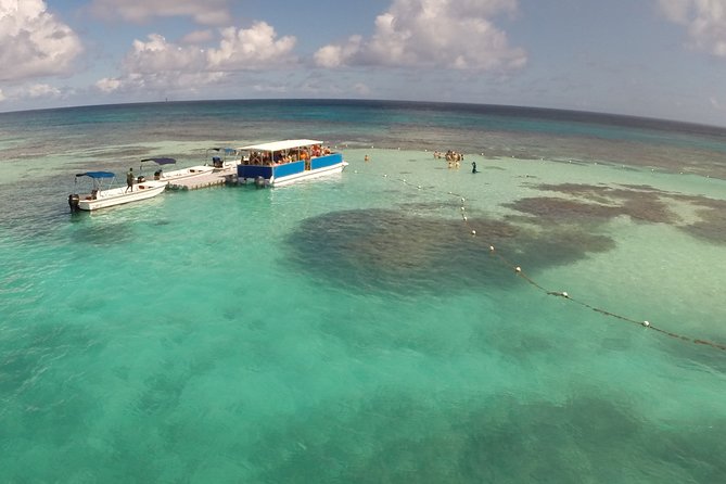 Stingray City - How the 5-hour schedule usually plays out, and why timing matters