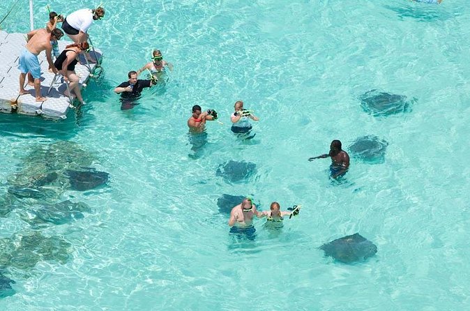 Stingray City - Staff guidance is the difference between fun and frustration