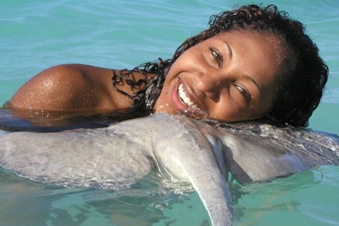 Stingray City - Price and value: what you’re really paying for