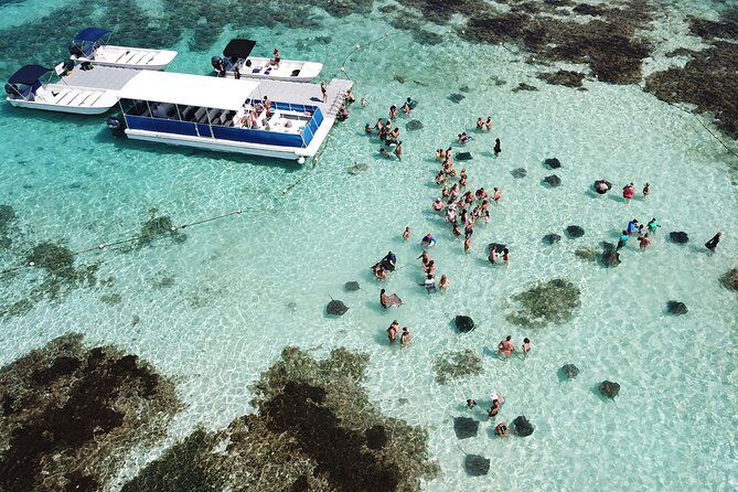 Stingray City Antigua for all the ages - ROUND TRIP INCLUDED - Key highlights at a glance