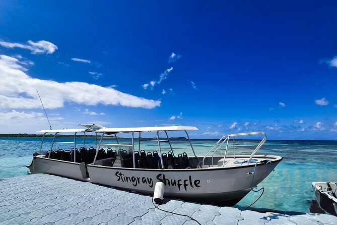 Stingray City Antigua for all the ages - ROUND TRIP INCLUDED - What you do in the water: snorkeling gear, feeding, and calm rules