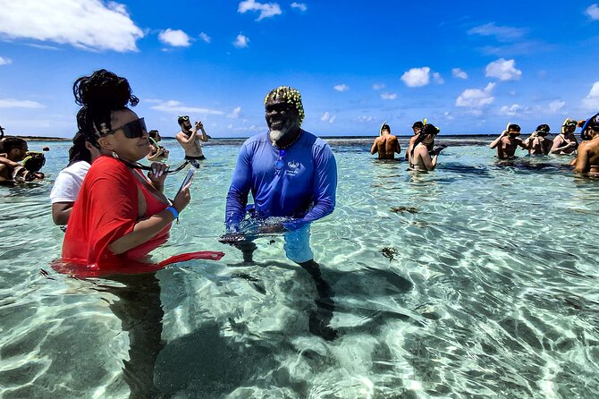 Stingray City Antigua for all the ages - ROUND TRIP INCLUDED - Price and value: what $139.90 per person really covers