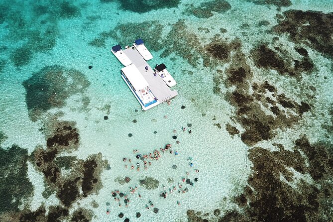 Stingray City Antigua for all the ages - ROUND TRIP INCLUDED - Picking the right time: early departures beat the crowd