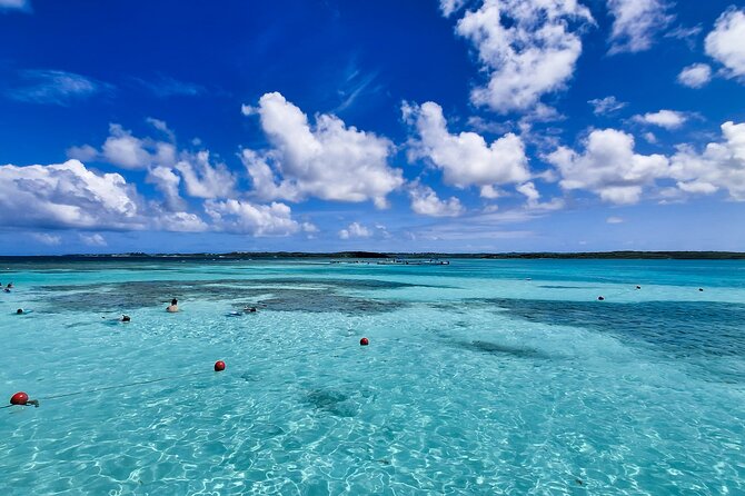 Stingray City Experience Antigua - Cruise Ship Passengers Edition - The people factor: hosts, safety talks, and calm guidance