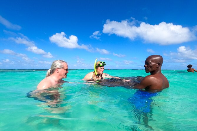 Stingray City Experience Antigua - Cruise Ship Passengers Edition - Price and value: where your $139.90 goes