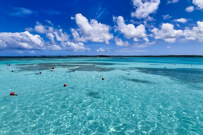 Stingray City experience, Devils Bridge and Long Bay Beach - Should you book this Antigua combo?