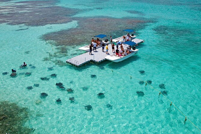 Stingray City - The sandbank, the snorkel, and what you’ll see up close