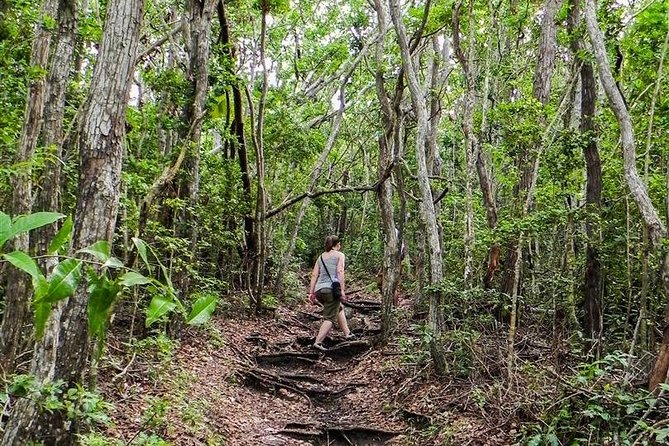 Trek Tours Hiking Experience in Antigua - What the hike is like on the ground, steep, rocky, and hot