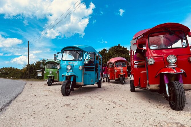 Tuk-Tuk Adventures Rainforest and Beach Hopping Tour - Fig Tree Drive rainforest stops and the fruit-vendor side of Antigua