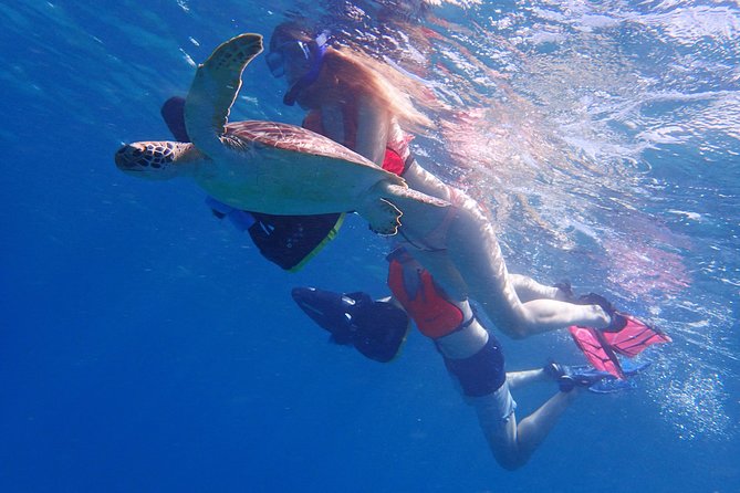 Turtle Beach Power Snorkeling Adventure - What a sea scooter snorkeling trip means in Antigua