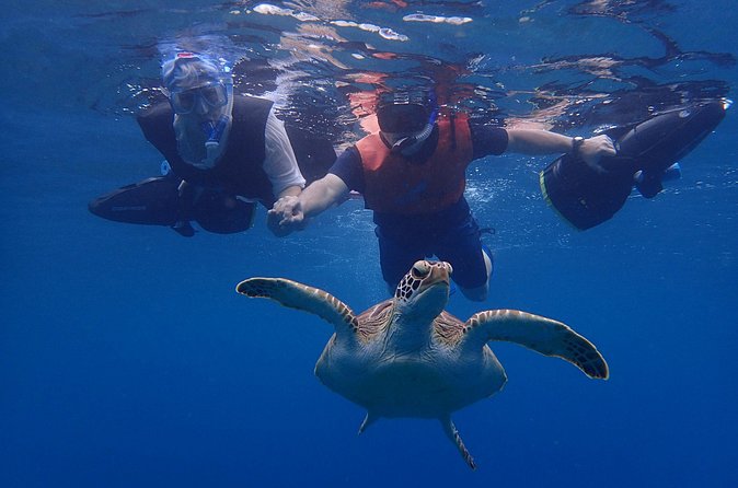 Turtle Beach Power Snorkeling Adventure - Price and value: does $132.99 make sense?