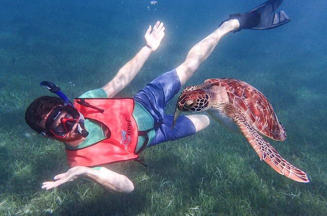 Under the Sea snorkeling(Stingray/Kayak/ Power Snorkel available) - Stingray, Kayak, and Power Snorkel Options, What to Expect